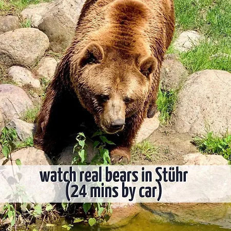 Mit Sauna Und Kamin - 200 Meter Zum - Wiesengefluester Röbel