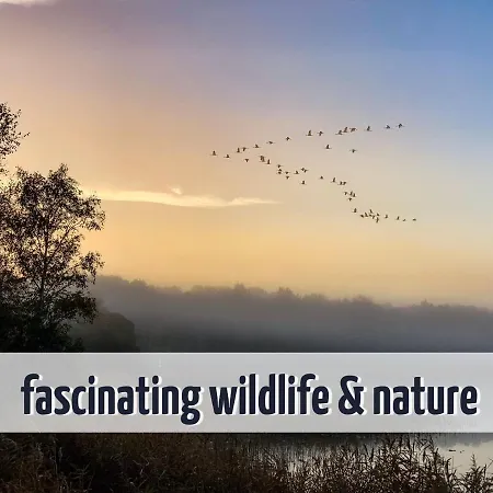 Mit Sauna Und Kamin - 200 Meter Zum - Wiesengefluester Апартаменты