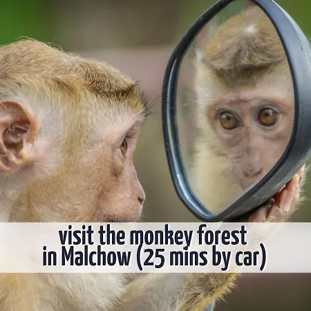 Mit Sauna Und Kamin - 200 Meter Zum - Wiesengefluester *