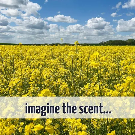 Lejlighed Mit Sauna Und Kamin - 200 Meter Zum - Wiesengefluester *